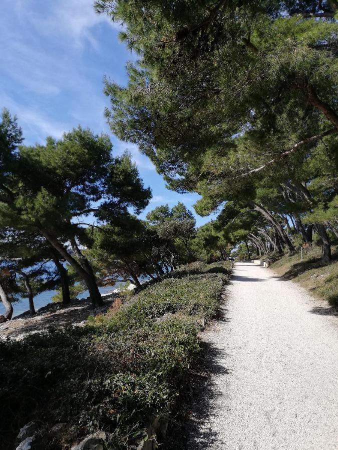 波莱蒂公寓 罗维尼 外观 照片