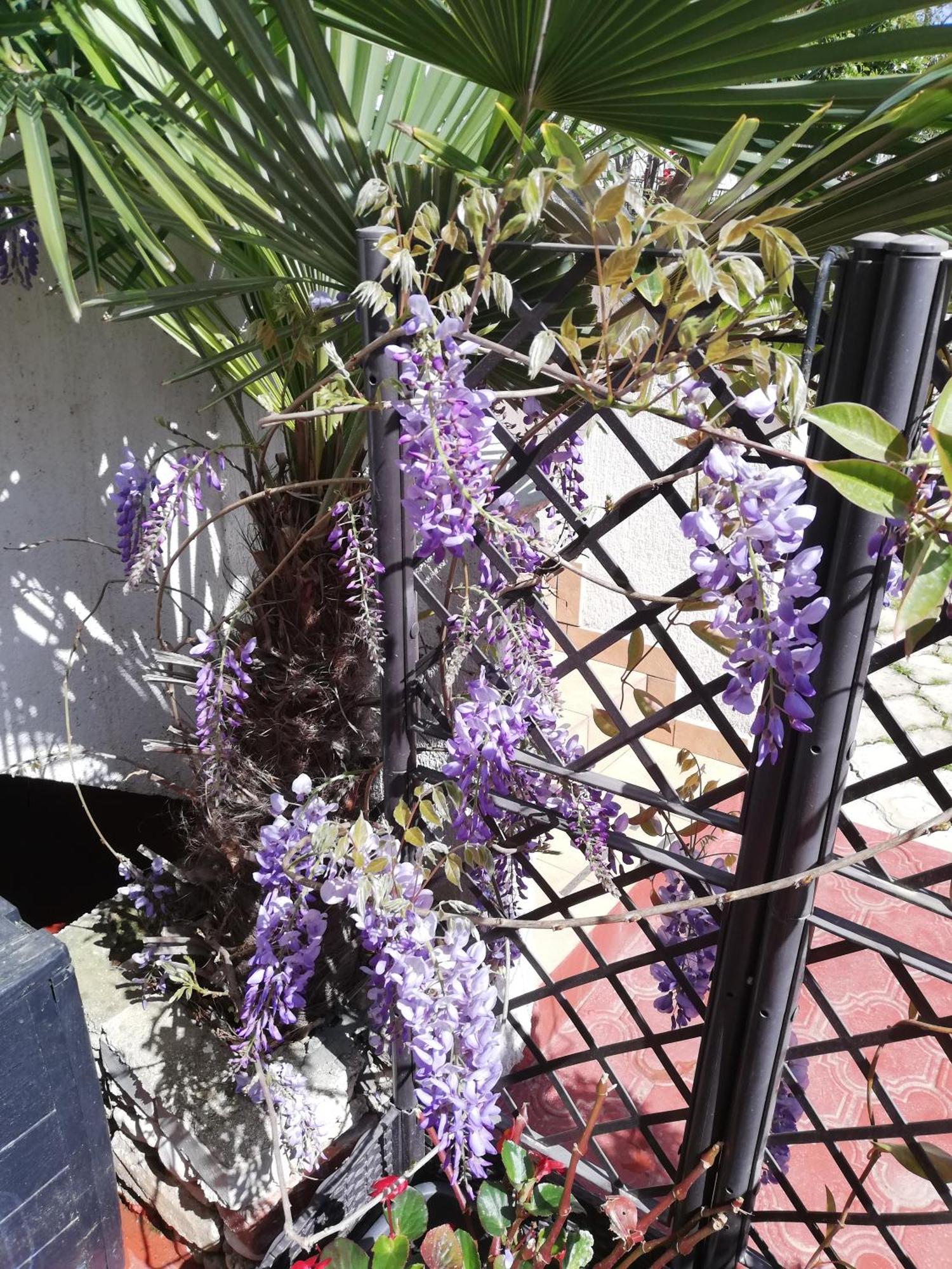 波莱蒂公寓 罗维尼 外观 照片